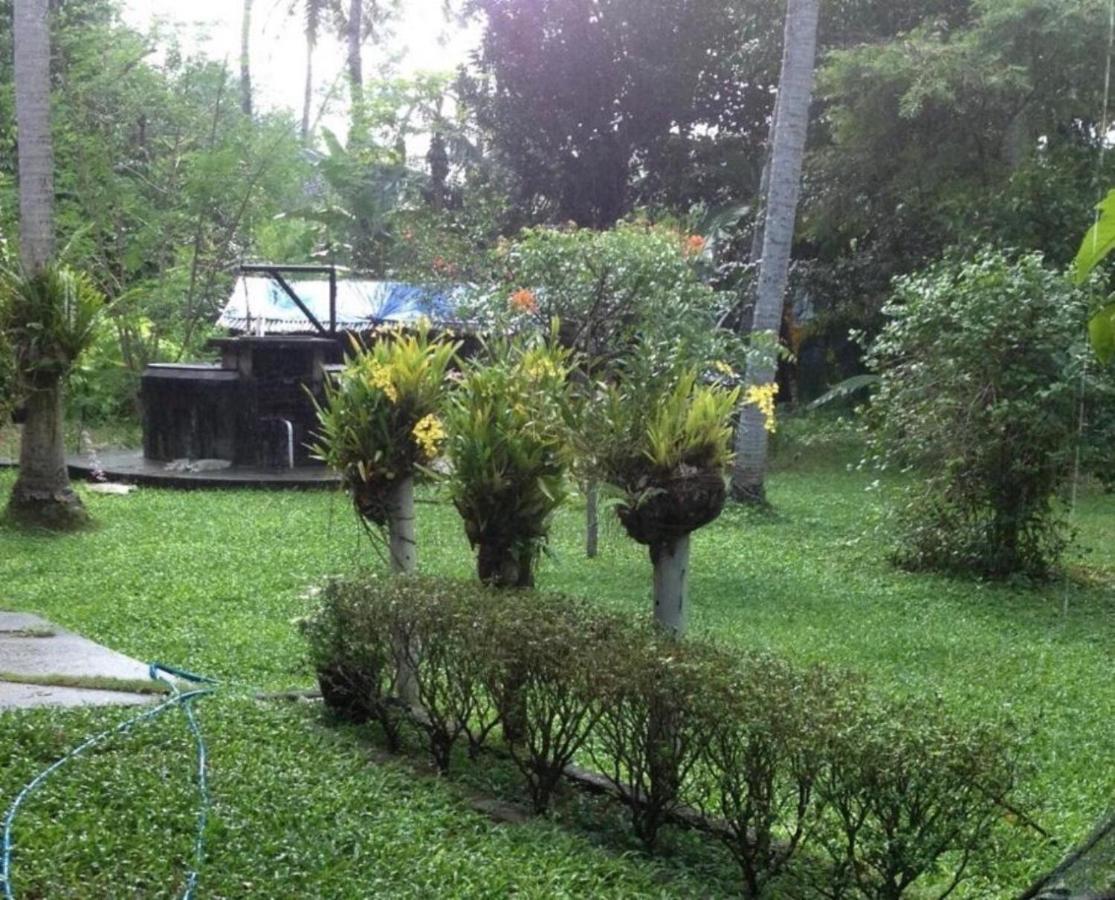 White Butterfly - A Countryside Homestay Thiruvananthapuram ภายนอก รูปภาพ