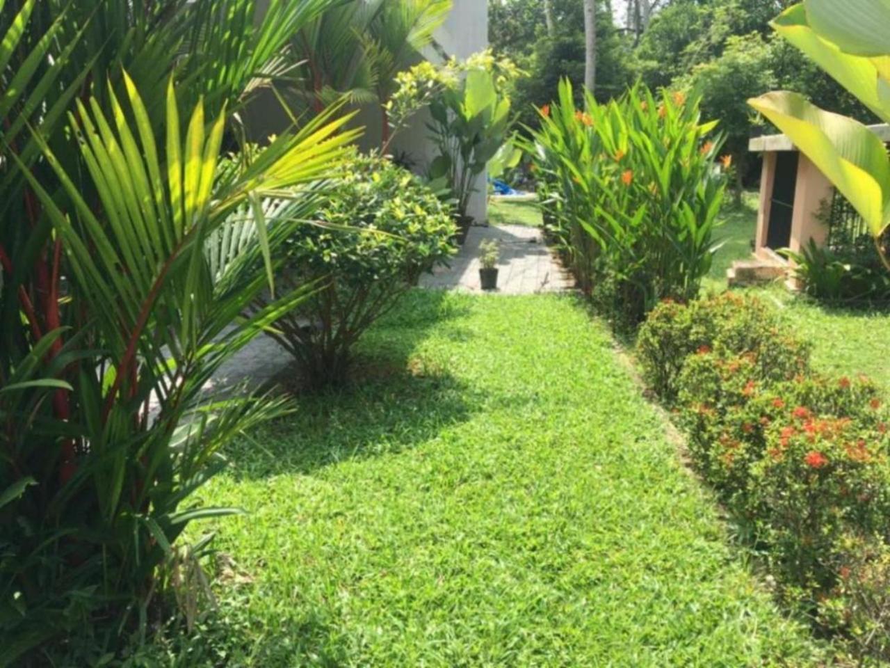 White Butterfly - A Countryside Homestay Thiruvananthapuram ภายนอก รูปภาพ